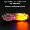 Cycling Light